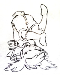 shaymin tumbled over