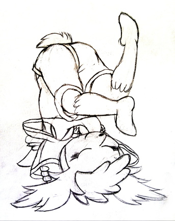 shaymin tumbled over